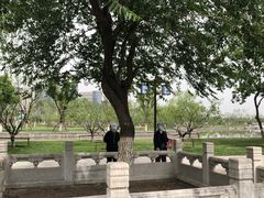 -西海子公园