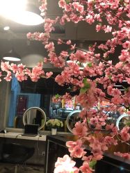 -时尚殿堂明星门店