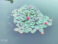 -中国计量大学(西校区)