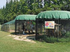 -前小桔亲子创意农场·草莓采摘·露营烧烤