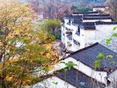 -塔川景区