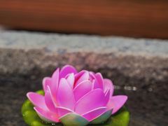 -品茶居素食馆(罗湖店)