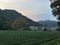 -国生茶庄·地道农家菜团建活动