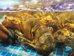 -驻海渔市(置信店)