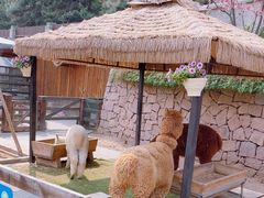 -静之湖度假区