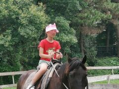 -太阳岛度假酒店