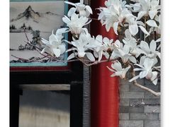 -颐和园