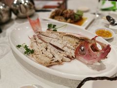 -四点金饭店(将军澳店)