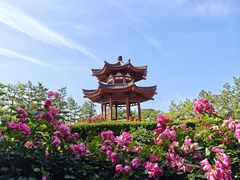 -大慈恩寺(大雁塔)
