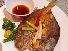 -蚝魁·海鲜大排档·啫啫·生蚝(体育西店)