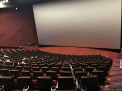 -悦江新远影城IMAX