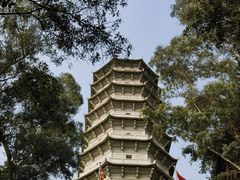 -深圳国际园林花卉博览园