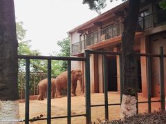 -昆明动物园