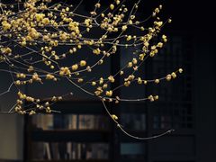 -成都杜甫草堂博物馆