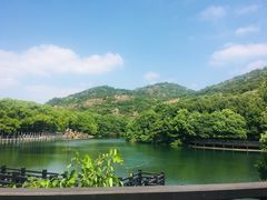 -白马涧龙池景区