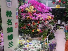 -三旗百汇商品城