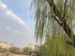 -迎泽公园