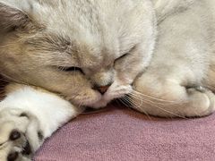 -M3 FASHION KTV(南站店)