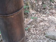 -会稽山峡洞漂流-上青古道