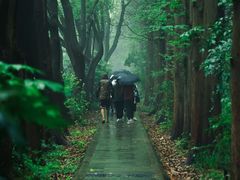 -同里国家湿地公园