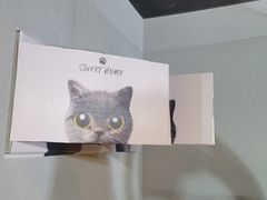 -梵猫·新养生(湛江鼎盛店)