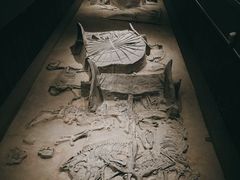 -北京大葆台遗址博物馆