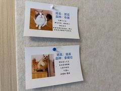 -唐小姐の私宠·宠物洗护美容·撸猫馆·购宠(周浦万达旗舰店)