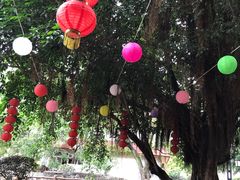 -汤锅大王(新平曹苏黄牛汤锅有限公司)