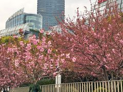 -北外滩滨江绿地