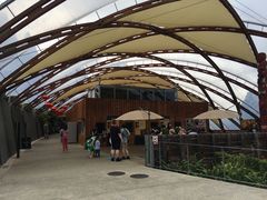 -怀托摩萤火虫洞