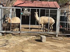 -意大利农场度假村