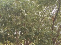 -无锡华清医院