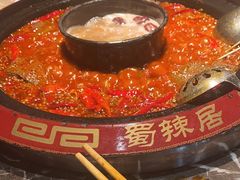 -蜀辣居鲜货老火锅(红牌楼店)