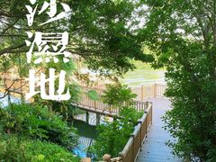 -大湾区中央湿地公园
