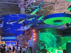 -烟台海昌鲸鲨海洋公园