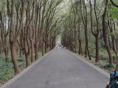 -同里国家湿地公园