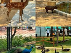 -南戴河国际娱乐中心