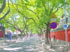 -北京国子监胡同