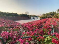 -观澜湖生态运动公社