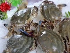 梭子蟹-杭州登云路农贸市场(胜月院店)