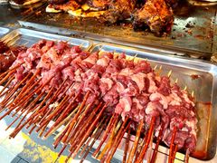 红柳烤肉-艾力江和田馕坑烤肉店