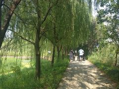 -长兴太湖图影湿地文化园