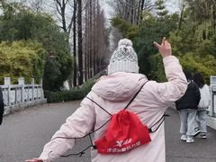 -洋湖国家湿地公园