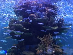 -多彩贵州城极地海洋世界