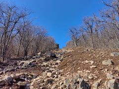 -杭州半山国家森林公园