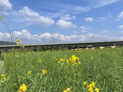-光明小镇欢乐田园
