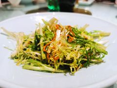 虫草花苦苣-阿斯牛牛·凉山菜(新会展店)