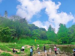 -马峦山郊野公园
