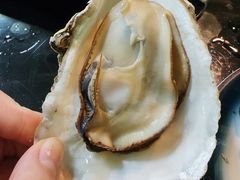 -大富蚝乌东哥饭店·石锅鱼杂·柠檬鸭(革新路店)