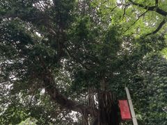 -广州近代史博物馆